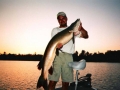 muskyj2 muskyj2