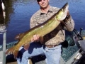 stevemusky stevemusky
